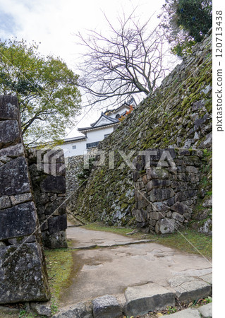 The beauty of the stone walls of Hikone Castle The beauty of the stone walls of Hikone Castle 120713438