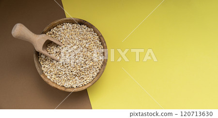 Raw pearl barley porridge Gluten free cereals. Health gut benefits. Concept of alternative whole spelt grain ingredient. Vegetarian diet recipes. Plant-based lifestyle. Copy space Protein rich Raw pearl barley porridge Gluten free cereals. Health gut benefits. Concept of alternative whole spelt grain ingredient. Vegetarian diet recipes. Plant-based lifestyle. Copy space Protein rich 120713630