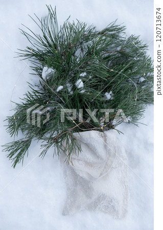 Reusable shopping bag with fir spruce green branches in snowy outdoor winter forest background. Merry Christmas and new year concept. Natural bouquet greeting card copy space Reusable shopping bag with fir spruce green branches in snowy outdoor winter forest background. Merry Christmas and new year concept. Natural bouquet greeting card copy space 120713674