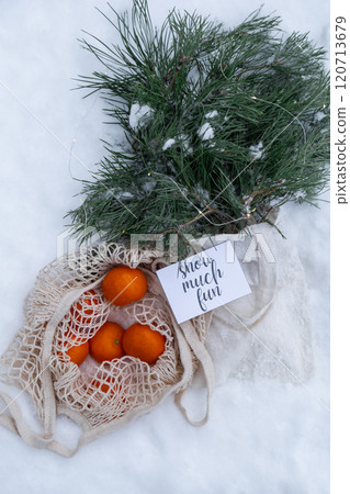 SNOW MUCH FUN text on postcard Mesh shopping bag with tangerines with fir branch and garland in snowy winter outdoor. Go green concept eco-friendly sustainable Christmas. Flat lay in snow background. SNOW MUCH FUN text on postcard Mesh shopping bag with tangerines with fir branch and garland in snowy winter outdoor. Go green concept eco-friendly sustainable Christmas. Flat lay in snow background. 120713679