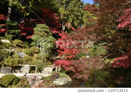 空海光明寺 北條北庭園 秋天 120713813