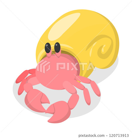 3D Isometric Flat  Illustration of Hermit Crab, Underwater Crustacean Character 120713913