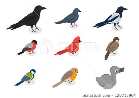 3D Isometric Flat  Set of City Birds, Sparrow, Tit, Pigeon, and Crow 120713964