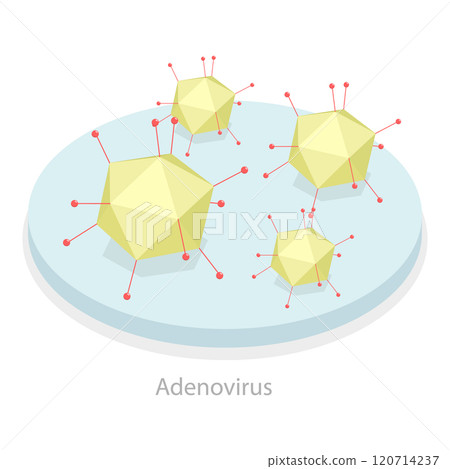3D Isometric Flat  Illustration of Upper Respiratory Tract Infection. Item 3 120714237