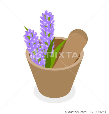 3D Isometric Flat  Set of Lavanders Products. Item 2 120714251