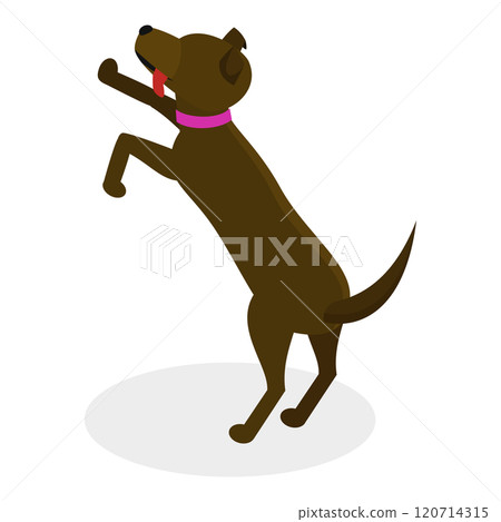 3D Isometric Flat Illustration of Pet Care. Item 8 3D Isometric Flat Illustration of Pet Care. Item 8 120714315