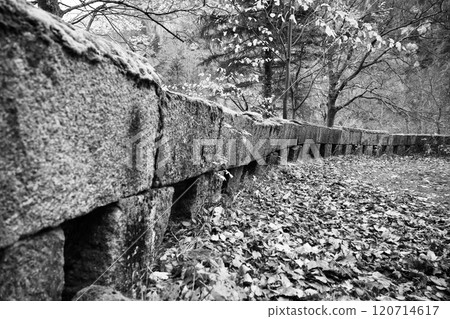Stolpich Road winds through the Jizera Mountains, showcasing autumn foliage. The stone path is bordered by fallen leaves and trees, highlighting the serene beauty of the season. 120714617