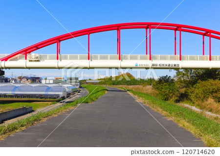 埼玉縣越谷市中川自行車道 2024 年 11 月 120714620