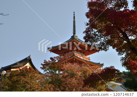 秋天的清水寺、三層寶塔和楓葉（京都市東山區） 120714637