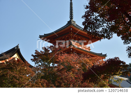 Autumn at Kiyomizu-dera Temple: Three-story pagoda and maple trees (Higashiyama Ward, Kyoto City) 120714638