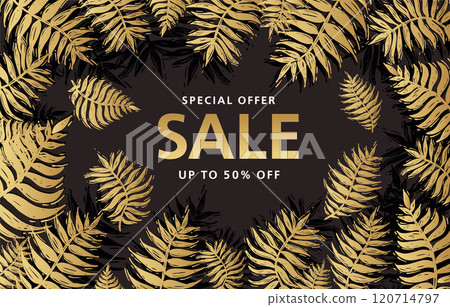 tropical, leaf, palm 120714797