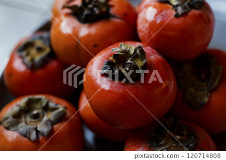 persimmon persimmon 120714808