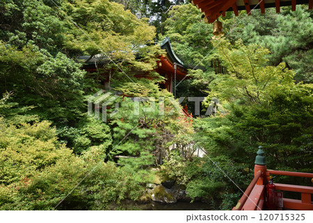 Bishamon-do Temple: Benzaiten seen from the main hall (Yamashina Ward, Kyoto City) 120715325