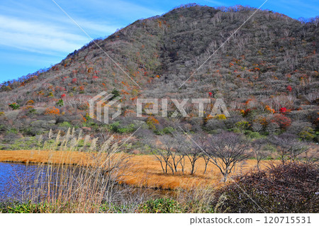 Kakumanbuchi - Late autumn leaves, Kusa-momiji, view from the promenade Kakumanbuchi - Late autumn leaves, Kusa-momiji, view from the promenade 120715531