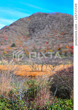 Kakumanbuchi - Late autumn leaves, Kusa-momiji, view from the promenade Kakumanbuchi - Late autumn leaves, Kusa-momiji, view from the promenade 120715549