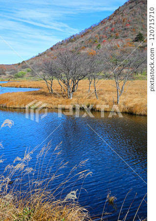 Kakumanbuchi 深秋的葉子，草楓，從長廊看 120715710