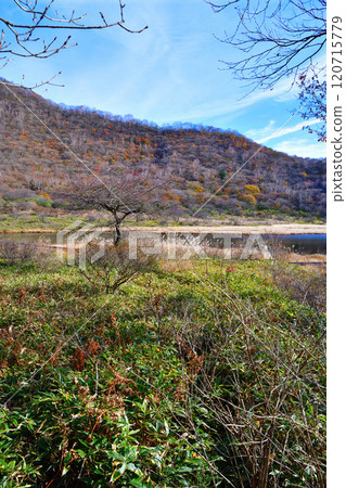 Kakumanbuchi，深秋的葉子，從長廊看到的景色 120715779