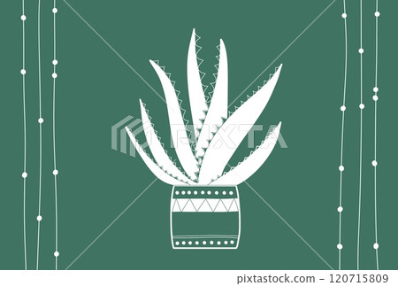 蘆薈明信片 120715809