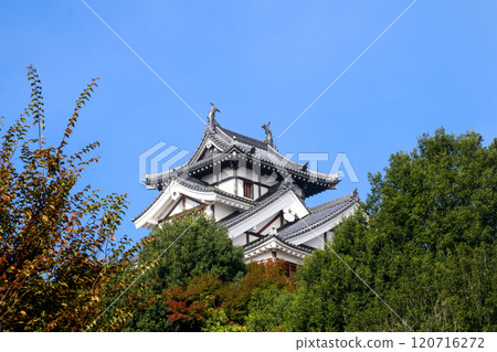 Fukuchiyama Castle　 120716272