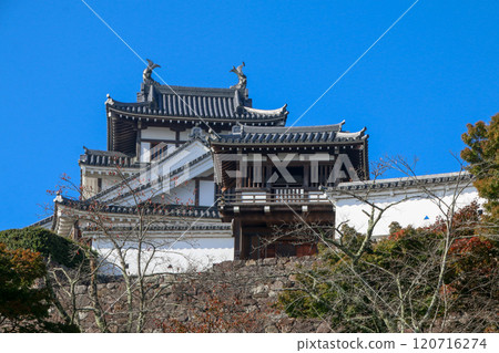 福知山城〉 120716274