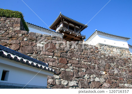 Fukuchiyama Castle　 120716357