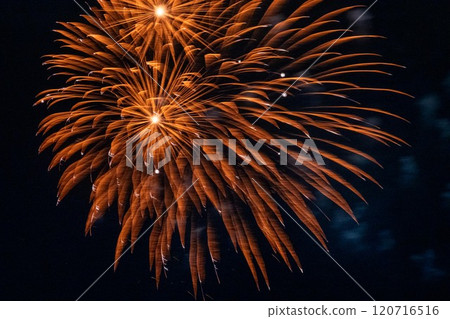 煙花 煙花 120716516