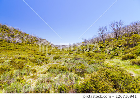 Schlink Pass Landscape in Kosciuszko National Park in Australia 120716941