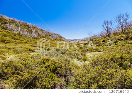 Schlink Pass Landscape in Kosciuszko National Park in Australia 120716943