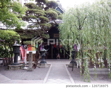 Rokkakudo in Nakagyo Ward, Kyoto City Rokkakudo in Nakagyo Ward, Kyoto City 120716975