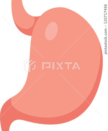 Healthy stomach promoting good digestion and overall well being, emphasizing the importance of gastric health in maintaining a healthy lifestyle 120717498