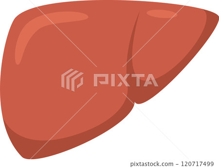 Realistic illustration of a healthy human liver, raising awareness for organ donation and emphasizing the importance of a healthy lifestyle Realistic illustration of a healthy human liver, raising awareness for organ donation and emphasizing the importance of a healthy lifestyle 120717499