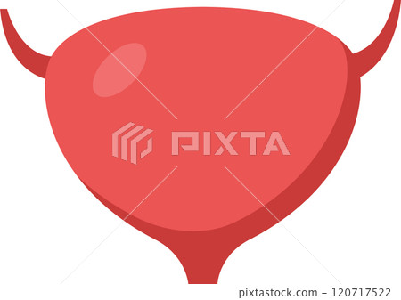 Medical illustration showcasing the human bladder storing urine, highlighting its role in the urinary system and overall health maintenance, depicted in a simple and informative style Medical illustration showcasing the human bladder storing urine, highlighting its role in the urinary system and overall health maintenance, depicted in a simple and informative style 120717522