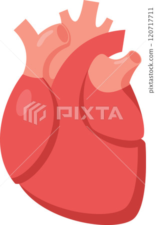 Medical illustration showcasing a healthy human heart, highlighting its role in circulating blood throughout the body and maintaining overall health and well being 120717711