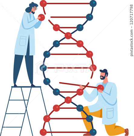 Two scientists building a dna model are conducting genetic research, exploring the field of biotechnology and making advancements in science 120717798