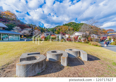 秋季高尾599博物館（海拔599m） 120717827
