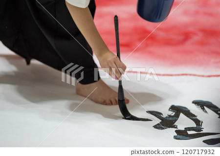 A woman writing her first words 120717932