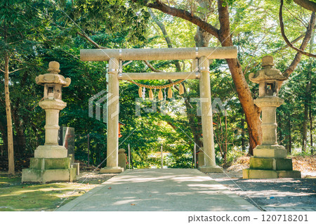 Yoshida Shrine (Miyauchicho, Mito City, Ibaraki Prefecture) Torii gates among the trees Yoshida Shrine (Miyauchicho, Mito City, Ibaraki Prefecture) Torii gates among the trees 120718201