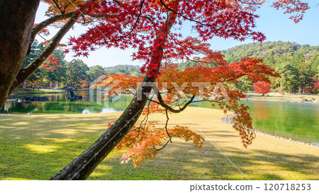 Motsuji Temple: Beautiful autumn foliage in the Pure Land garden, Iwate Prefecture 120718253