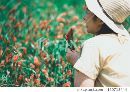 草莓蠟燭採花 120718444