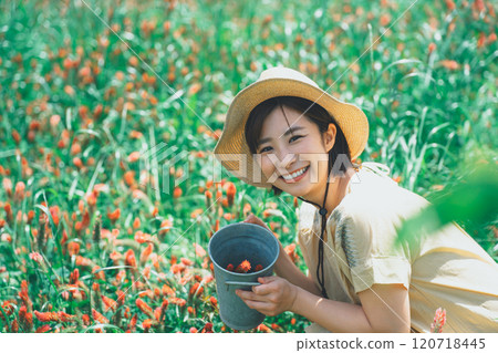 Strawberry candle flower picking 120718445