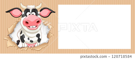 Cartoon Cow in Torn Paper Frame 120718584