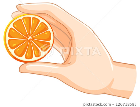 Hand Holding a Fresh Orange Slice 120718585
