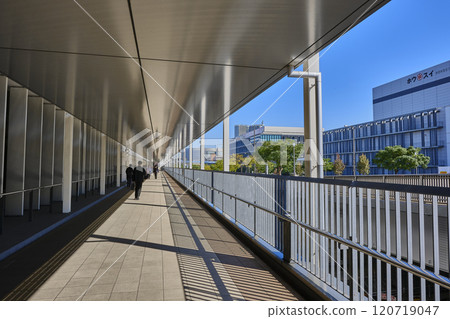 東京中央批發市場豐洲市場步行甲板 120719047