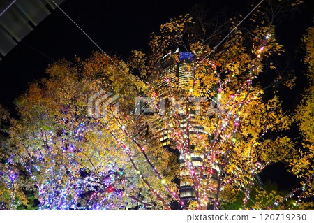 Roppongi Hills Mori Tower seen through the illuminations 120719230
