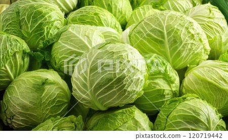 AI image: A pile of cabbages 120719442