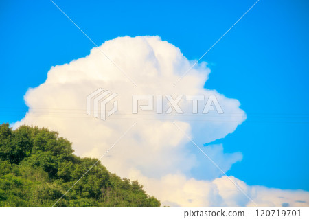 Green, summer sky and cumulonimbus clouds 120719701