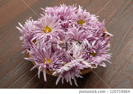 山形特產食用菊花 120719864