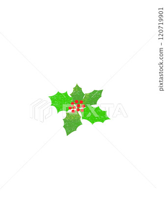 聖誕冬青葉和紅色漿果 120719901