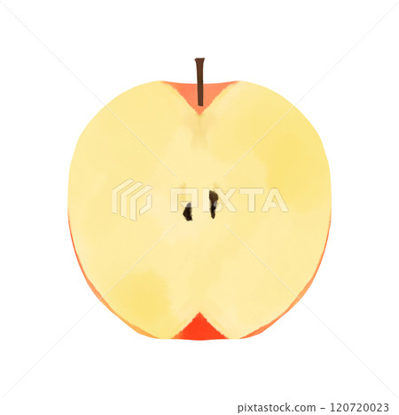 Watercolor illustration of an apple cut in half Watercolor illustration of an apple cut in half 120720023