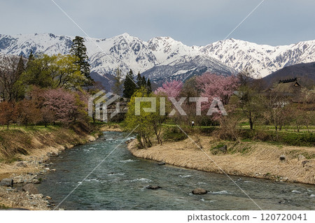 從大出公園看到殘雪的白馬三山 120720041